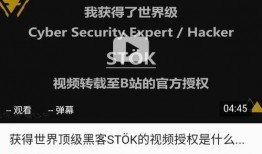 顶级黑客爆料视频大全免费观看,免费观看视频大全，解锁网络安全奥秘