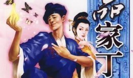 极品家丁免费在线观看,笑料百出，宫廷奇遇尽在其中！